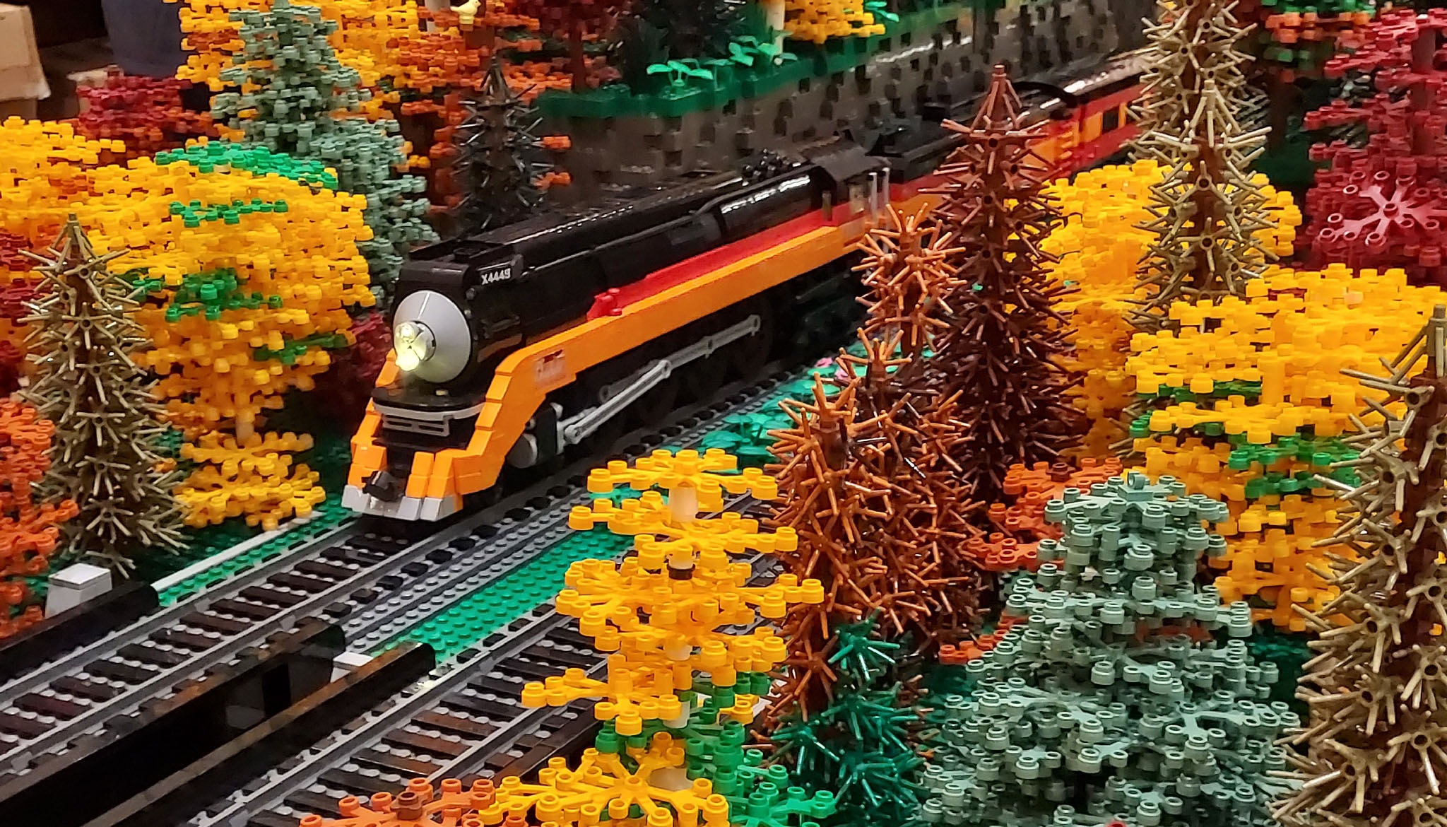 Daylight through the Forest